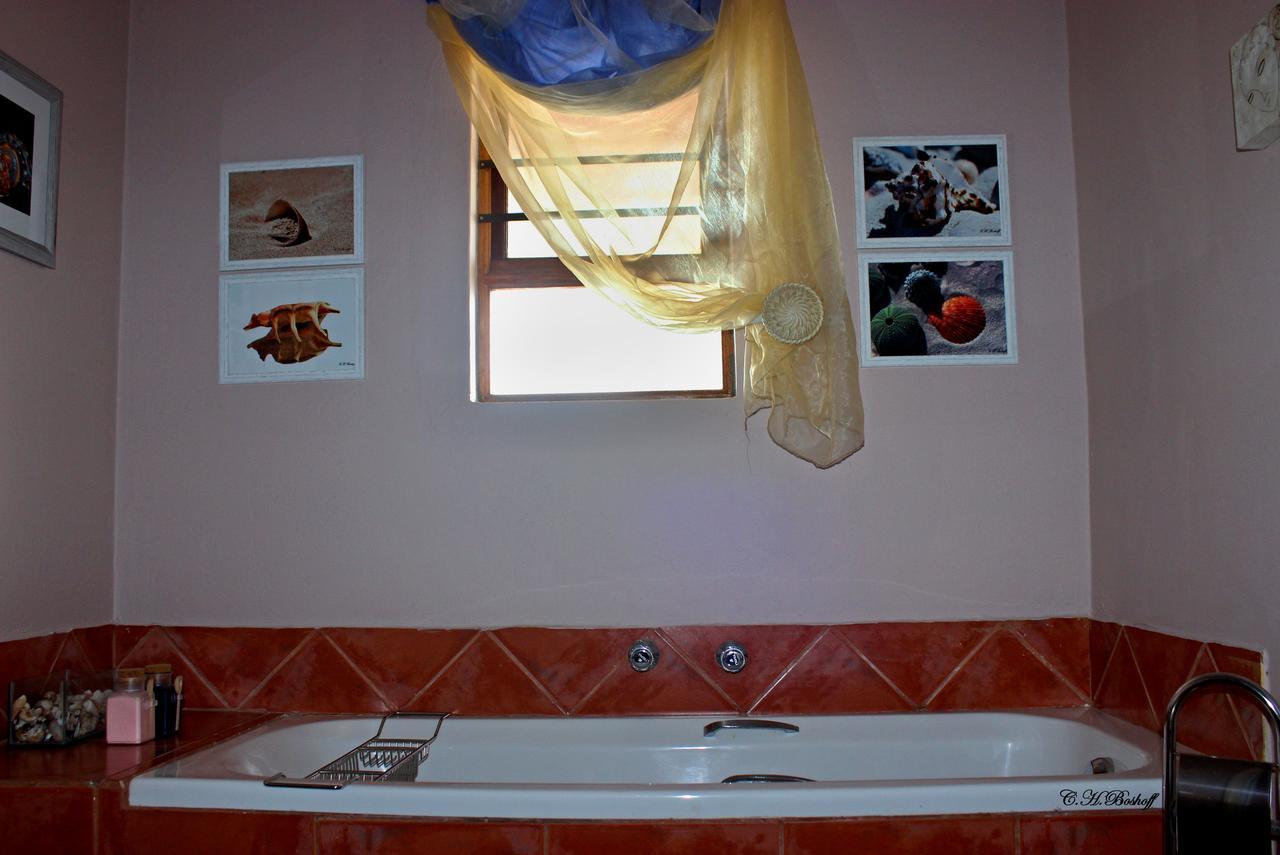 גנסבאי Walkerbay Accommodation מראה חיצוני תמונה